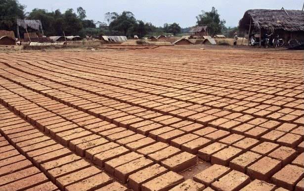Bricks laid out to dry in a yard